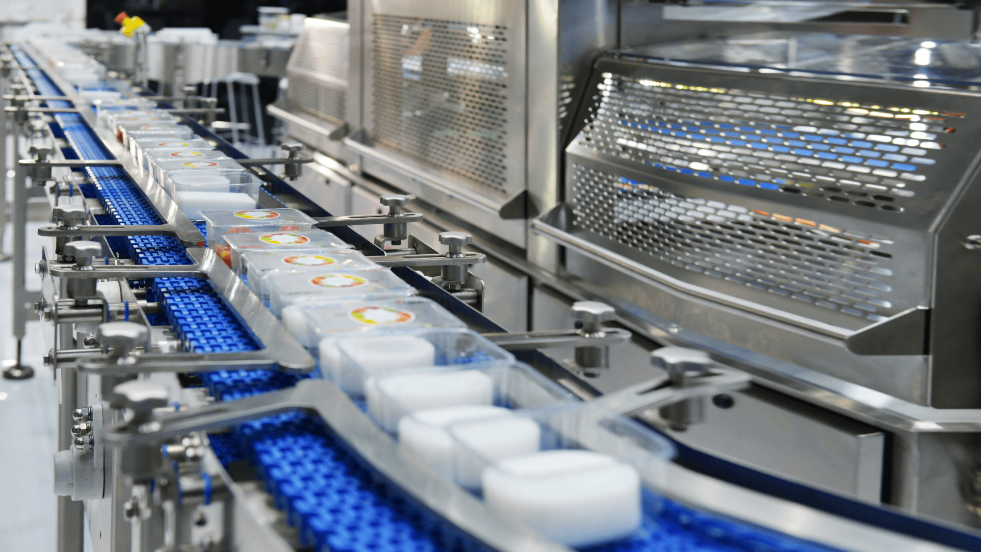 Рынок оборудования для пищевой промышленности в новой реальности: нужно ускорять импортозамещение