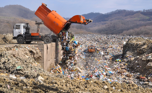 Главная «мусорная» проблема — пластик или переработка органических отходов?