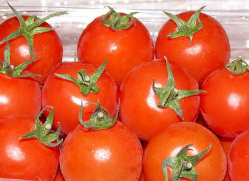 Анализ рынка овощей в России (томаты и огурцы): снижение внутреннего потребления можно компенсировать за счет увеличения экспорта