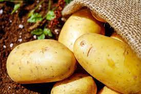 Правильная сортировка: смогут ли российские калибровочные машины для картофеля вытеснить с рынка европейские и не пустить на него китайские