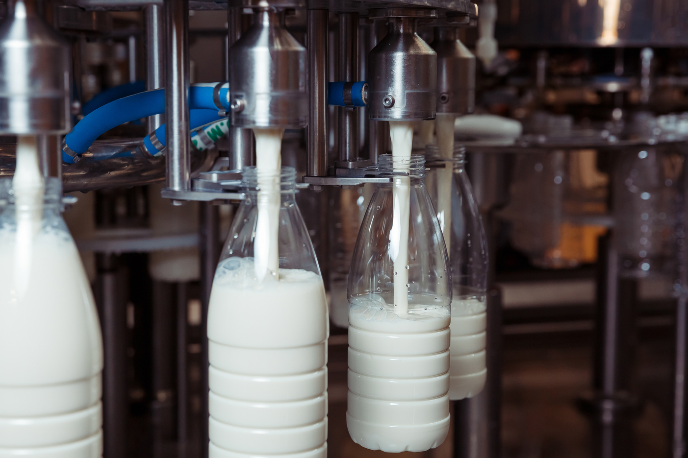 Дисбаланс на рынке молочной продукции: производство растет, а спрос падает из-за высоких цен