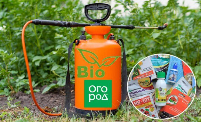 Рынок средств защиты сельскохозяйственных растений: динамика производства по сегментам и задачи импортозамещения