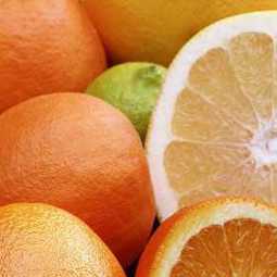 Маркетинговое исследование рынка цитрусовых фруктов