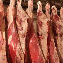 Строительство мясохладобойни мощностью убоя и переработки свиней и КРС до 15 тонн в смену готовой продукции с цехом обвалки