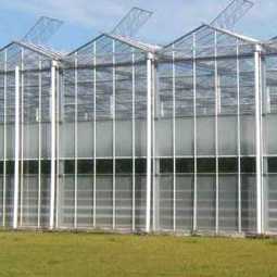 Бизнес-план: строительство тепличного комплекса по выращиванию томатов, огурцов, зелени и салата