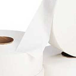 Бизнес-план: открытие производства бумажной основы и туалетной бумаги