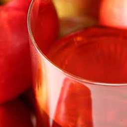 Бизнес-план: организация производства яблочного концентрированного осветленного сока