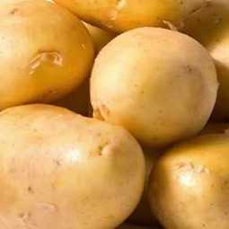 Аналитический обзор: Анализ рынка картофеля в ЦФО