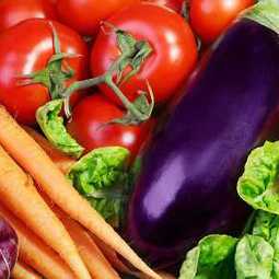 Бизнес-план: строительство овоще-фруктохранилища