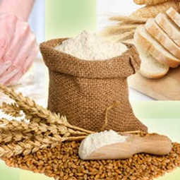 Маркетинговое исследование: обзор мирового рынка сухой пшеничной клейковины