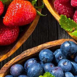 БИЗНЕС-ПЛАН: организация комплекса по выращиванию ягодных культур