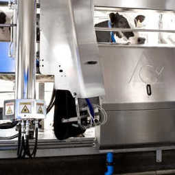 Маркетинговое исследование: анализ рынка роботизированных систем для молочных ферм КРС