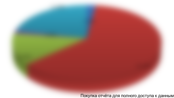 Рисунок 6.1 Структура инвестиций в проект, %