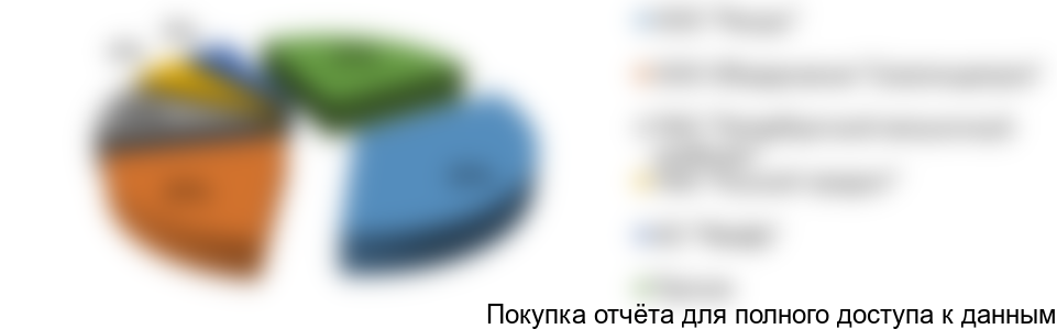 Рисунок 13. Структура рынка по крупнейшим игрокам в УФО, %