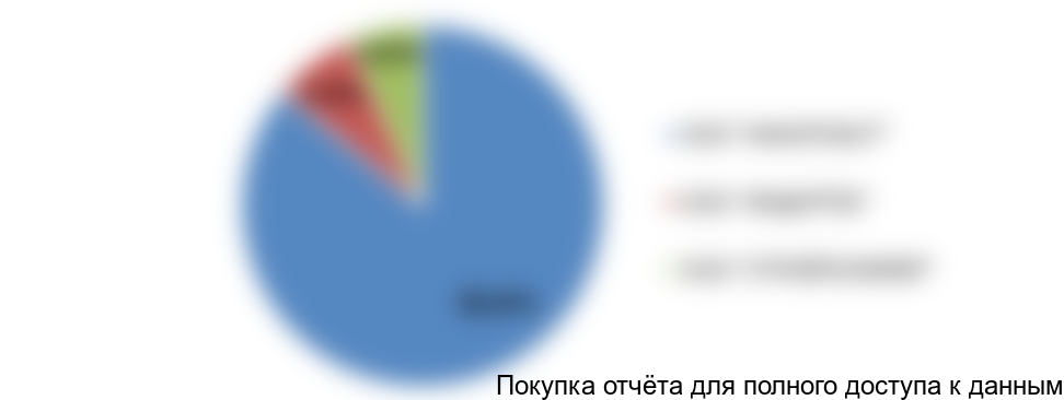 Диаграмма 13. Структура экспорта холодного пластика для разметки дорог по компаниям-производителям, 2017 год, % от натурального выражения