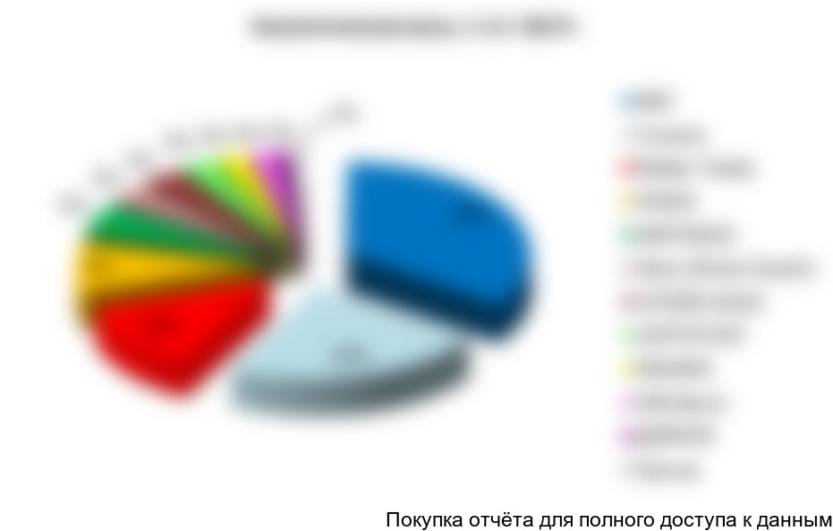 Рисунок 22. Структура рынка аналитических весов по крупнейшим производителям (в натуральном выражении) в 1-ом полугодии 2017г., %