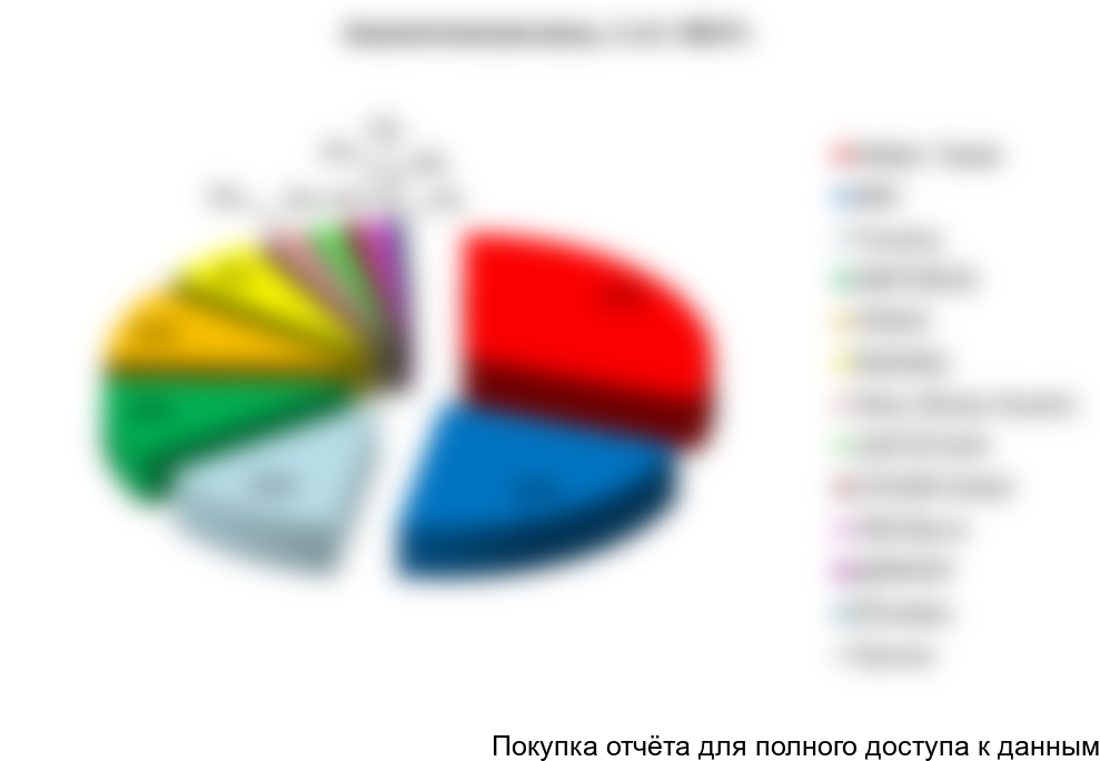 Рисунок 29. Структура рынка аналитических весов по крупнейшим производителям (в стоимостном выражении) в 1-ом полугодии 2017г., %