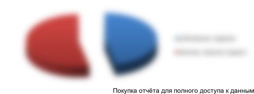 Рисунок 4.2. Структура финансирования проекта, %