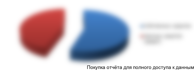 Рисунок 4.2. Структура финансирования проекта, %