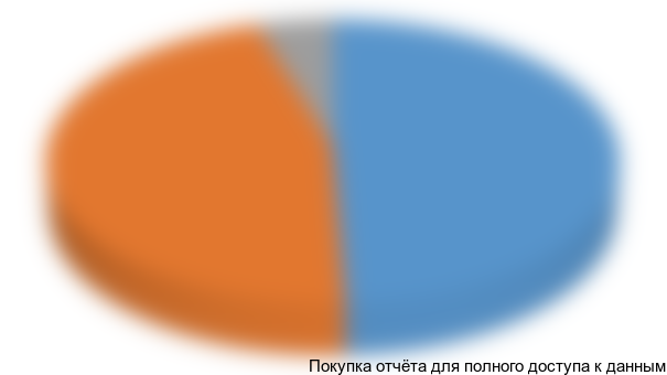 Диаграмма 13. Сегментация импорта ПДМ в разрезе компаний-потребителей, 2009 г., долл. США