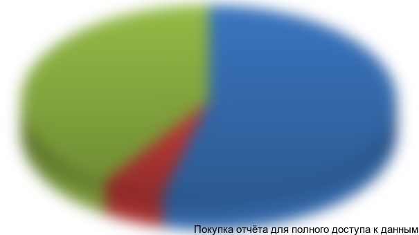 Рисунок 6.1 Структура инвестиций в проект, %