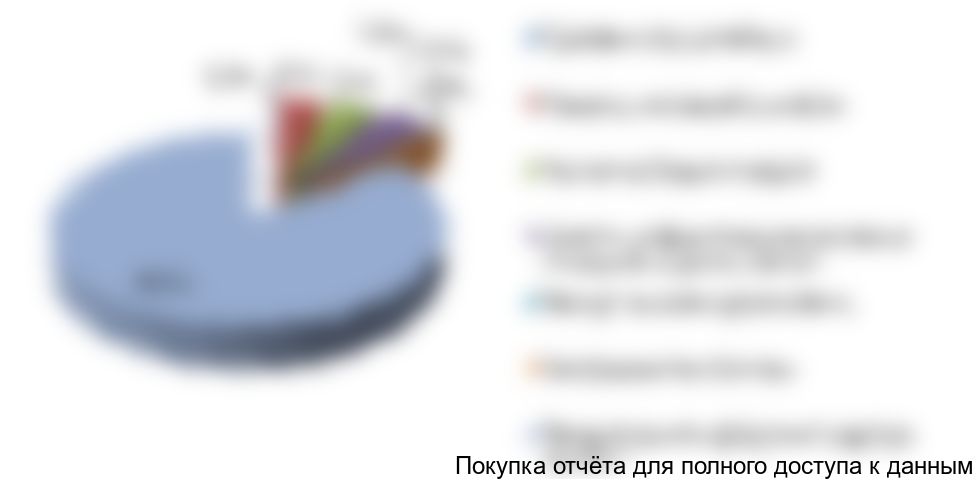 Рисунок 6.2. Структура инвестиций в проект, %