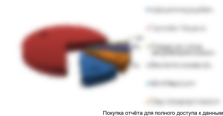 Рисунок 7.1 Структура инвестиций в проект, %