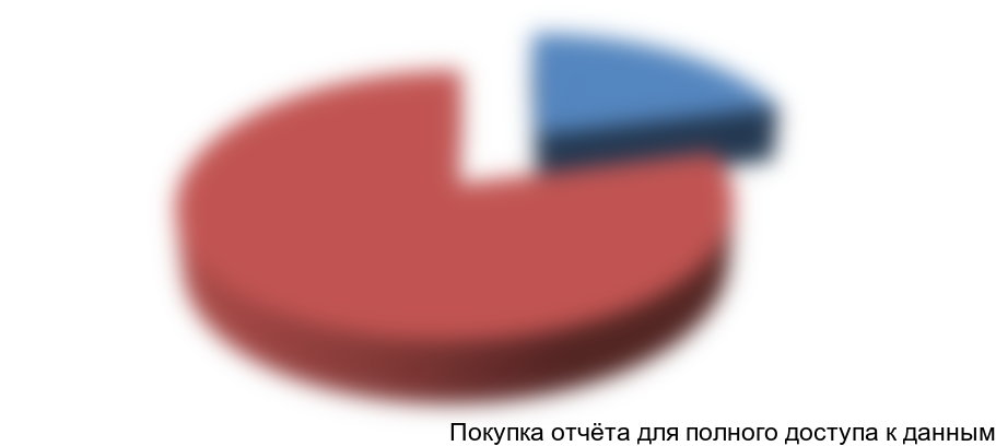 Рисунок 4.3 Структура финансирования инвестиционного проекта