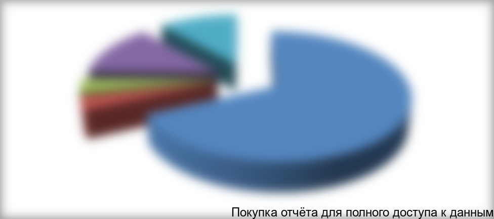 Рисунок 6.6. Сегментация выручки за 2016 год