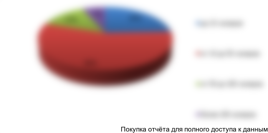 Рисунок 3.4. Структура номерного фонда гостиничных объектов в г....е, %