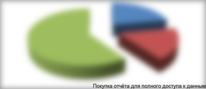 Рисунок 3.2 Сегментация российского рынка одежды в стоимостном выражении