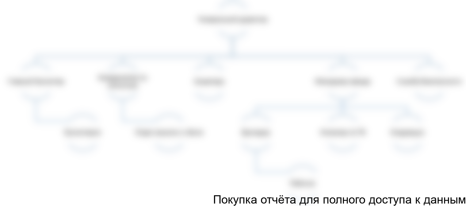 Рисунок 4.11. Организационная структура компании