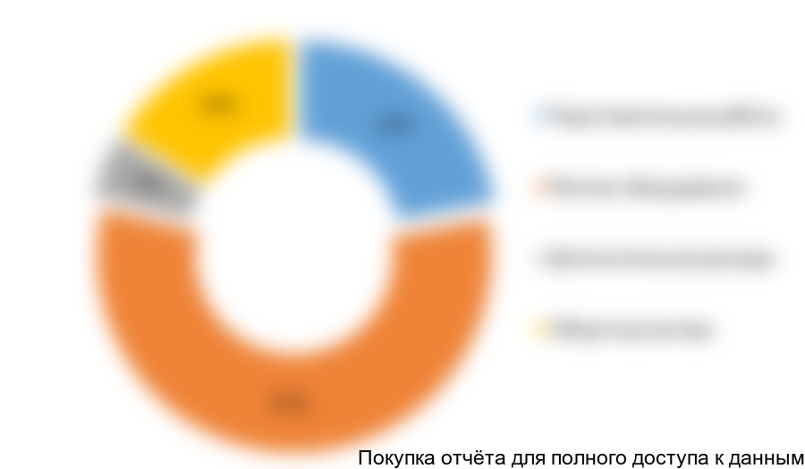 Рисунок 5.1 Структура инвестиций в проект, %