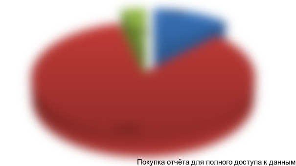 {Информация будет представлена в полной версии отчета}