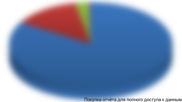 Рисунок 6.1 Структура инвестиций в проект, %