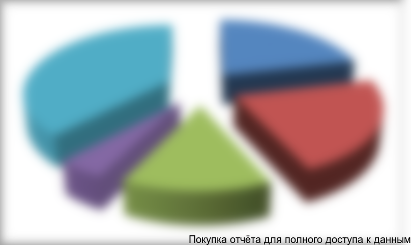 Рисунок 1.1. Структура российского рынка бункеровки по итогам 2013 года