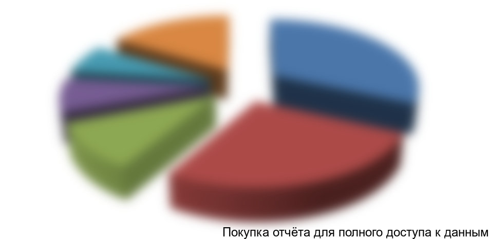 Диаграмма 4. Сегментация производства по ключевым производителям, 2013