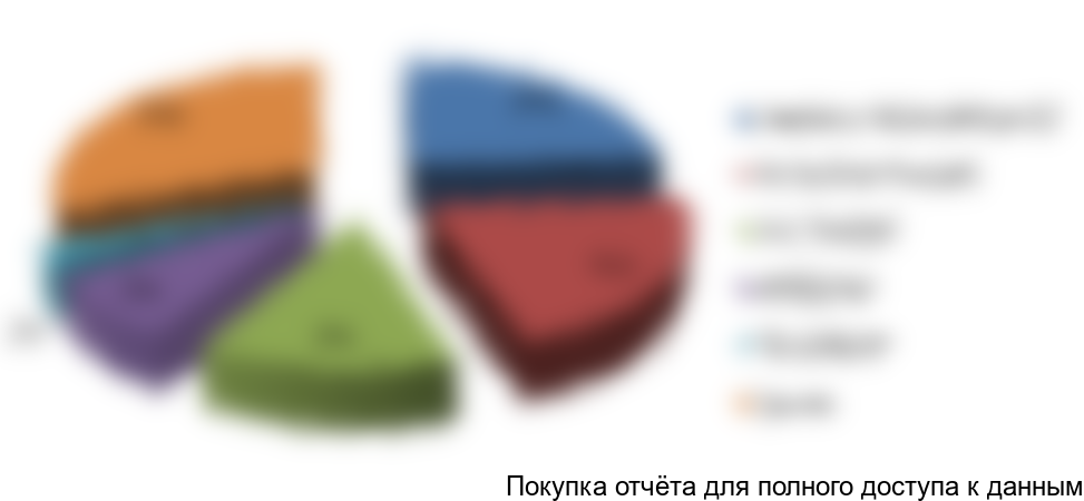 Рисунок 5. Структура рынка по крупнейшим игрокам в стоимостном выражении в 2016 году