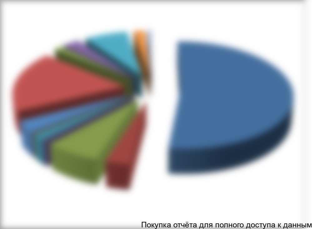 Рисунок 1.1. Сегментация поставок соли ЭКСТРА по видам фасовки за 2013 год, в %