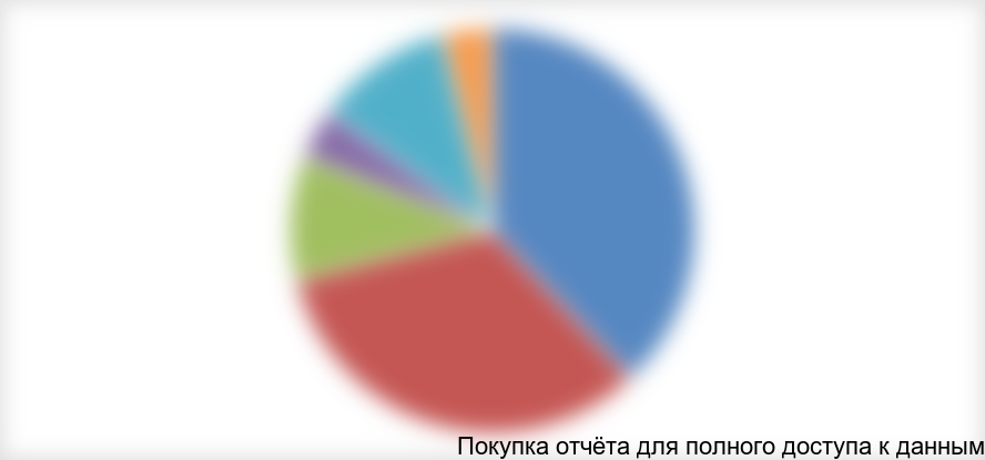 Диаграмма 21. Структура рынка СИЗ для нефтегазовой, строительной, обрабатывающей, горнодобывающей отраслей по видам СИЗ в стоимостном выражении, 2013 г.