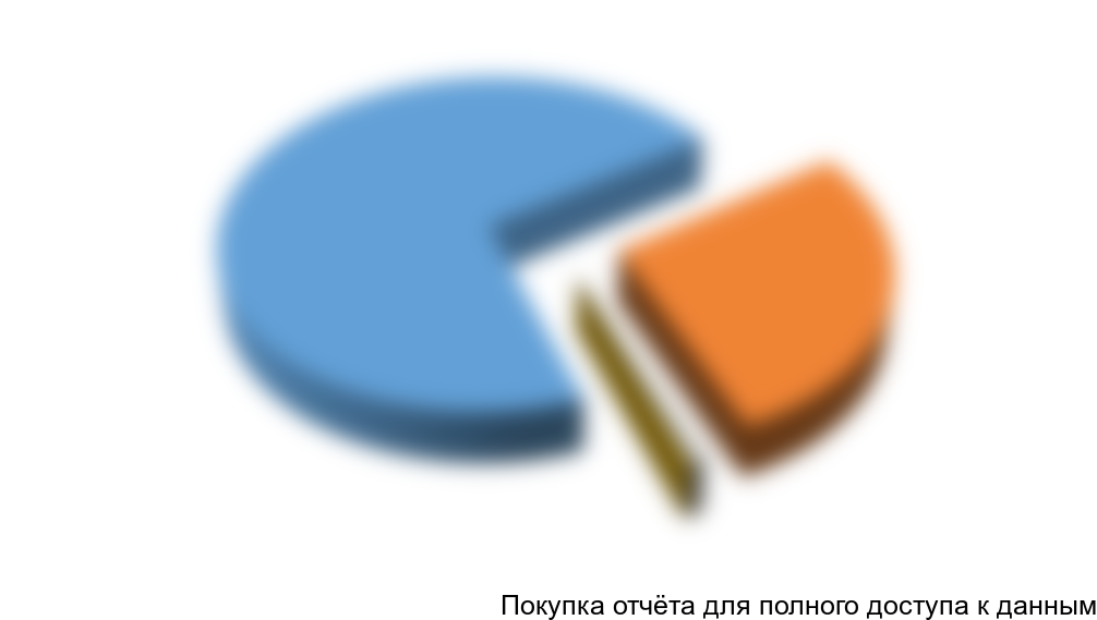 Сегментация производства гипса и гипсового камня в 2011 году