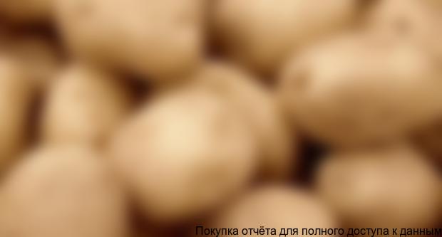 Анализ производства (ТОП-20 производителей) картофеля в России, 2012-2013 гг.