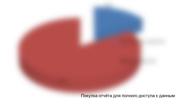 Рисунок 4.2. Структура финансирования проекта, %