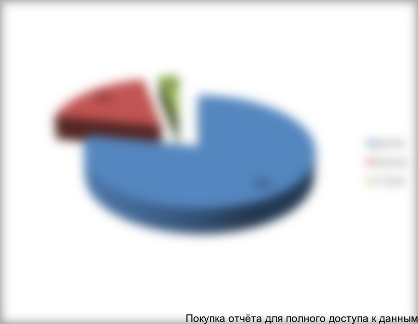 Структура рынка проходческих щитов в России в 2013 г., % (шт)