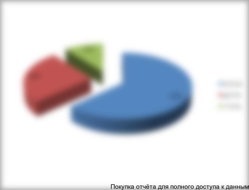 Структура рынка проходческих щитов в России в 2013 г., % ($)