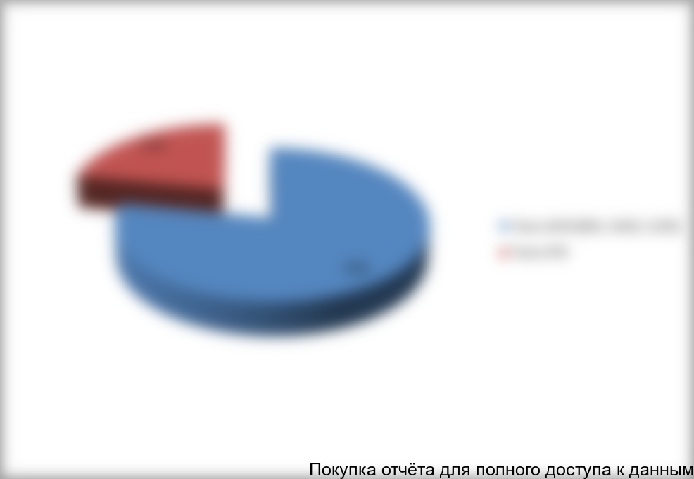 Структура рынка проходческих щитов в России в 2013 г. по типам щитов, % (шт.)