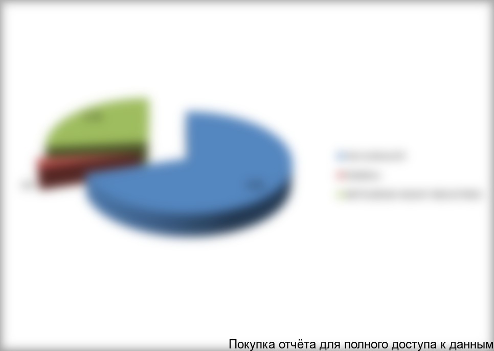 Структура рынка проходческих щитов в России в 2013 г. по производителям, % (шт.)