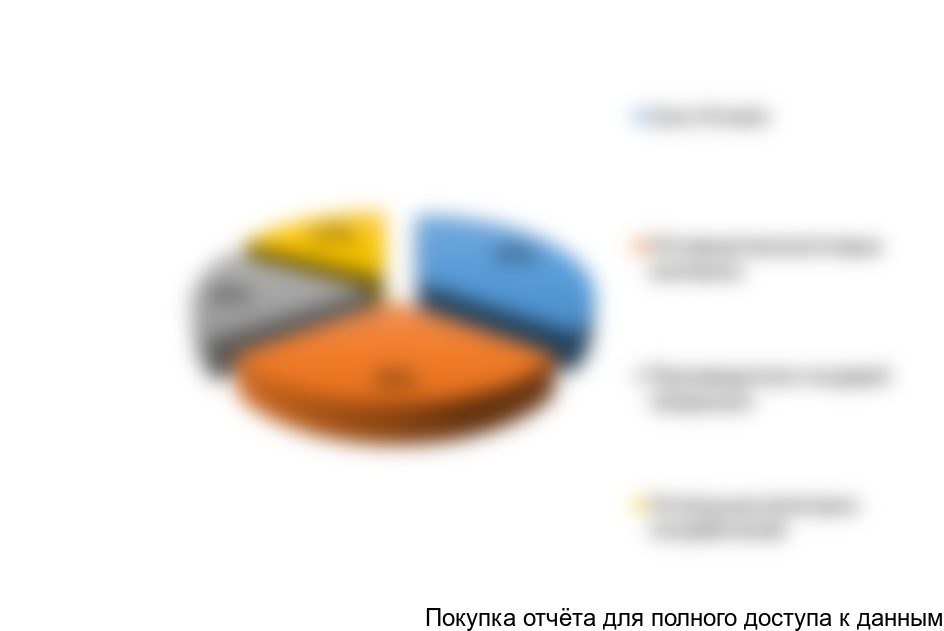 {Информация будет представлена в полной версии отчета}