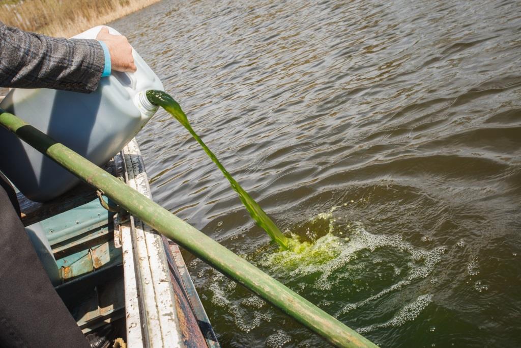 Альтернативные методы очистки водоемов