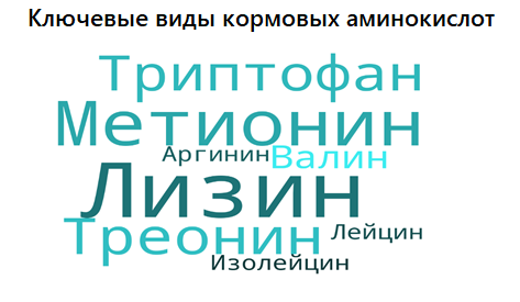 Ключевые виды кормовых аминокислот